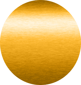 Image of a gold coin